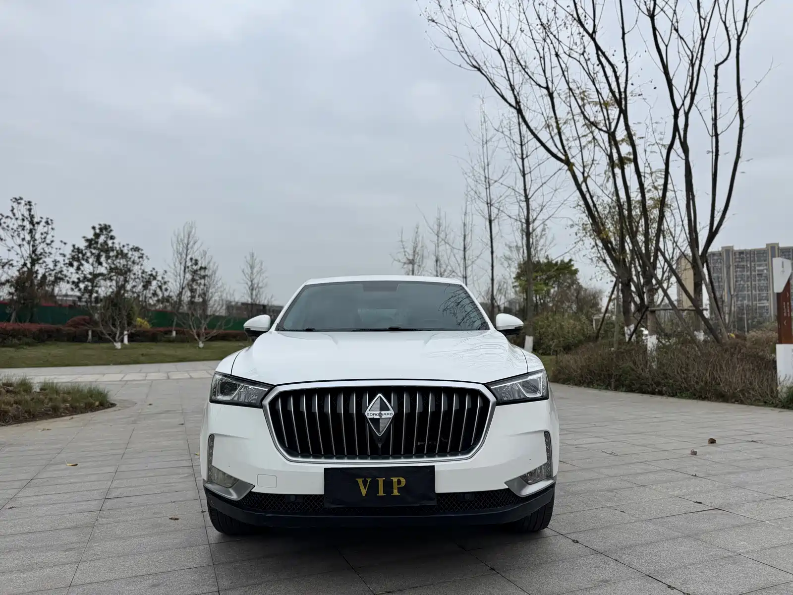 Фото 4 - Borgward BX6