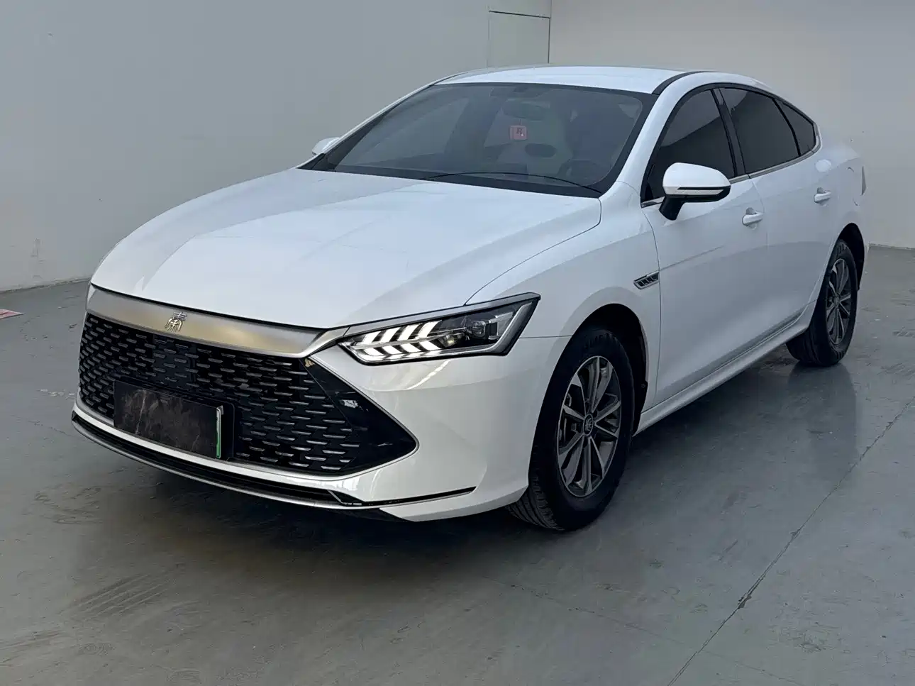 BYD Qin PLUS 2024 Glory Edition DM-i 55KM Leading