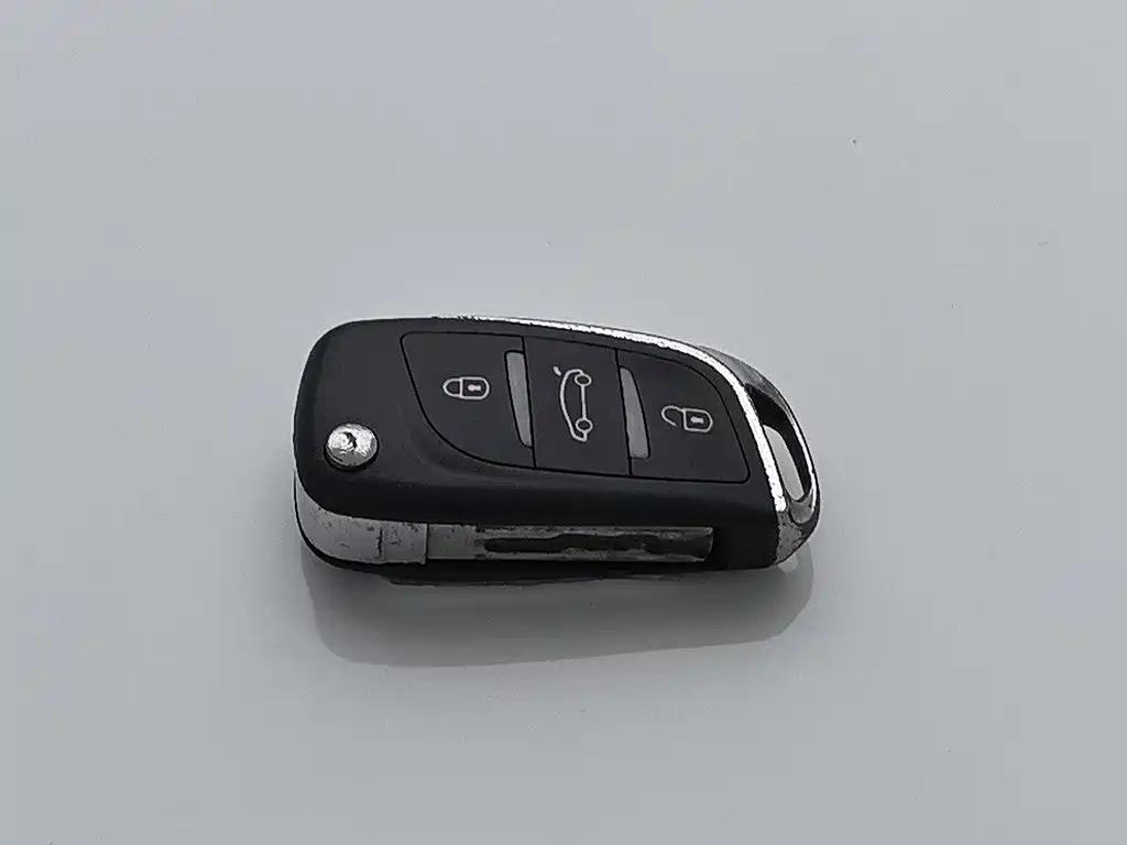 صورة 19 - Peugeot 301