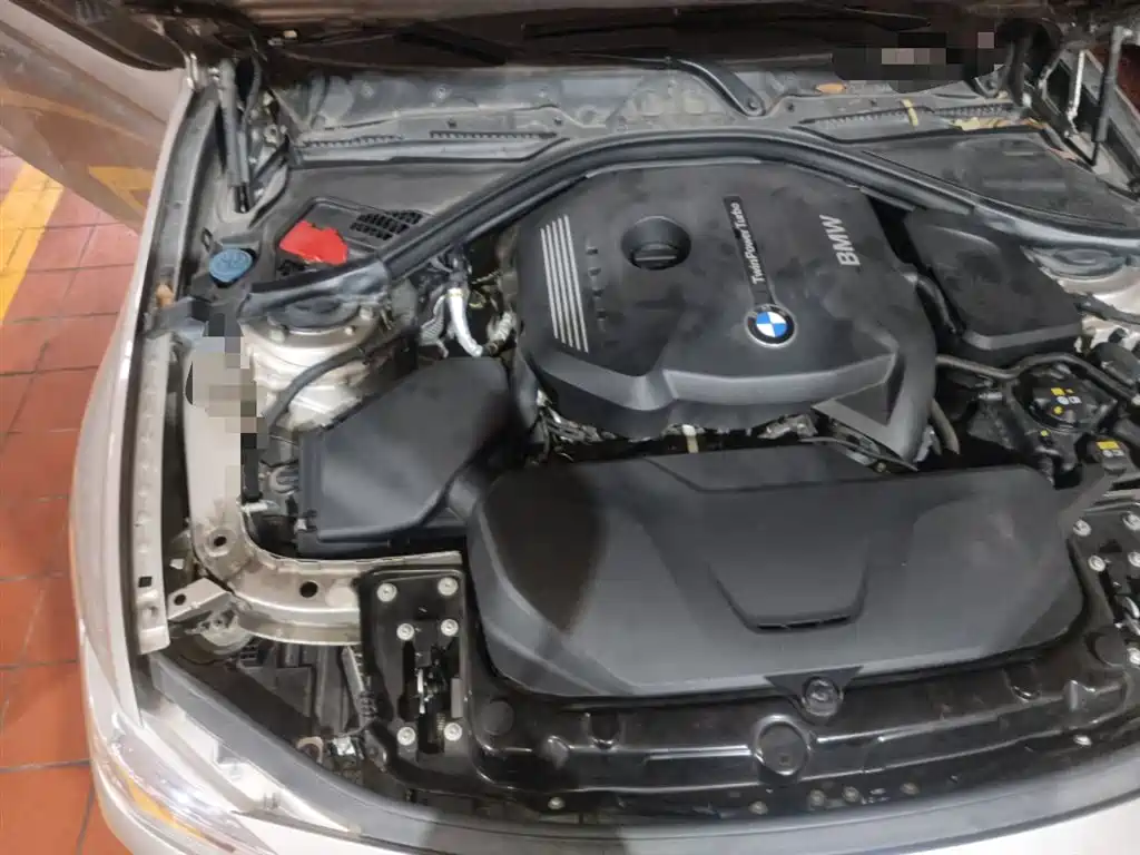 BMW 3 Series 2017 320Li Fashion фото 22