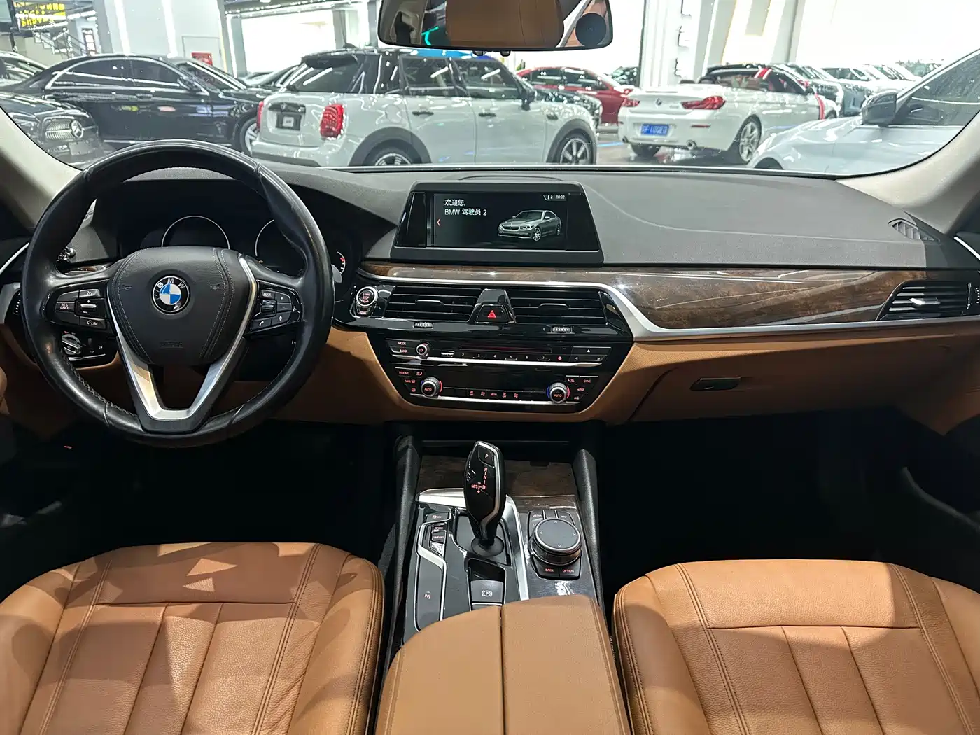 BMW 5 Series 2018 528Li Launch Special Edition фото 9