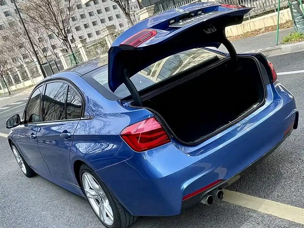 BMW 3 Series 2017 320Li M Sport фото 10