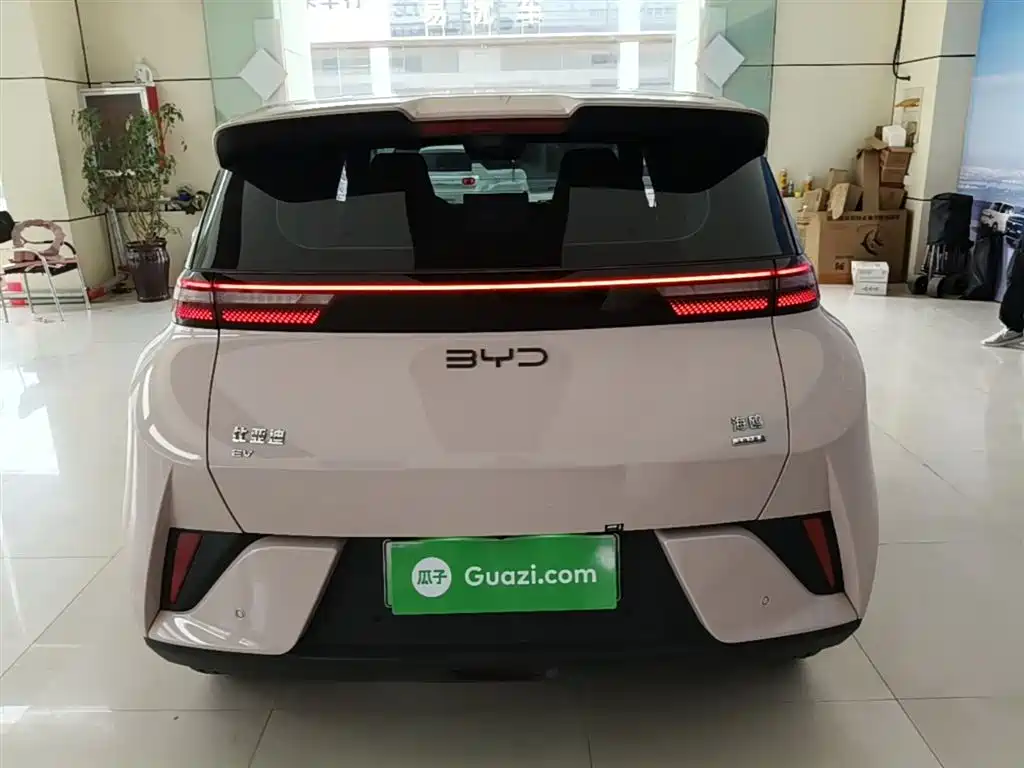 BYD Seagull 2025 Smart Drive Edition 305km Freedom Version фото 6