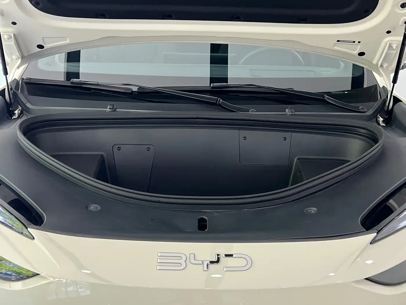 BYD Sealion 06 New Energy 2025 EV 605 Pilot Plus Edition фото 4