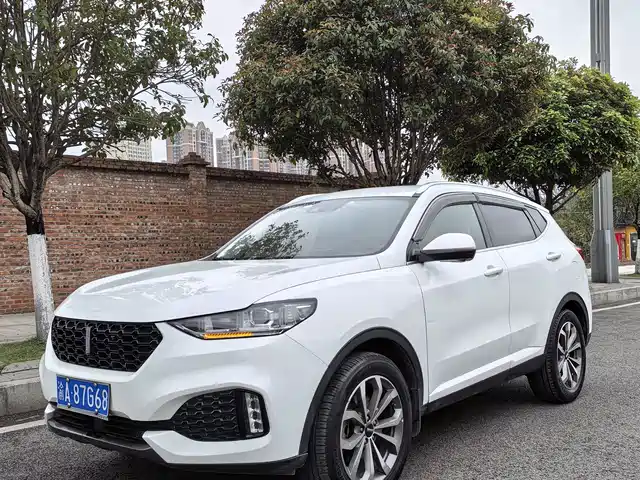 WEI PAI WEI BRAND VV6