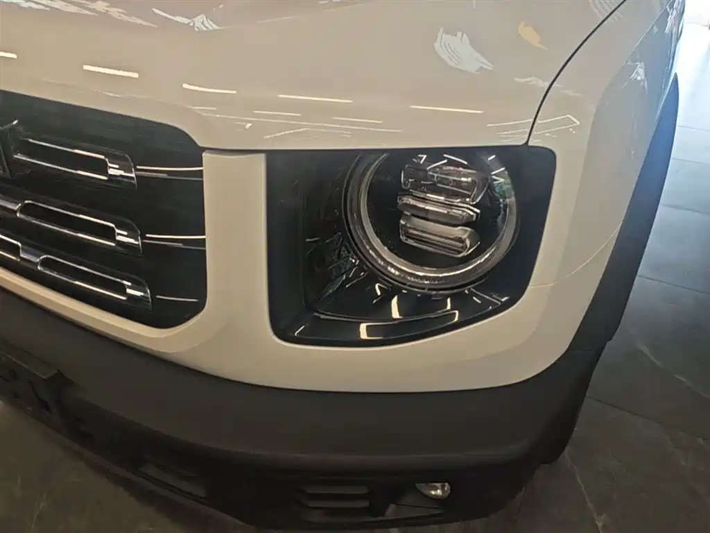 Haval Big Dog 2022 1.5T DCT FWD Border Collie Edition фото 24
