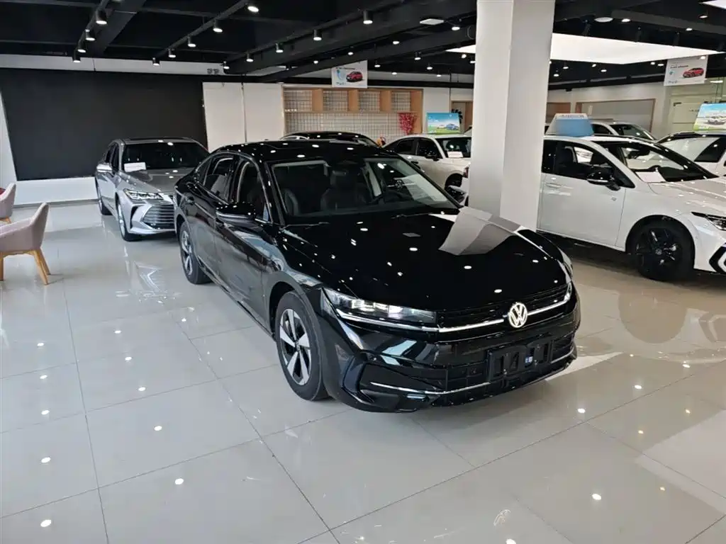 Volkswagen Magotan 2024 300TSI DSG Premium Edition (Eye-catching Package) фото 4