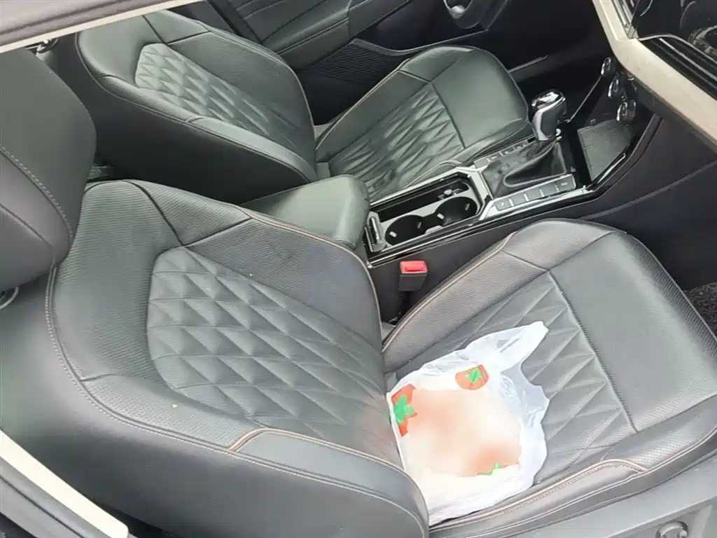 Volkswagen Passat 2019 330TSI Luxury Edition China VI фото 24