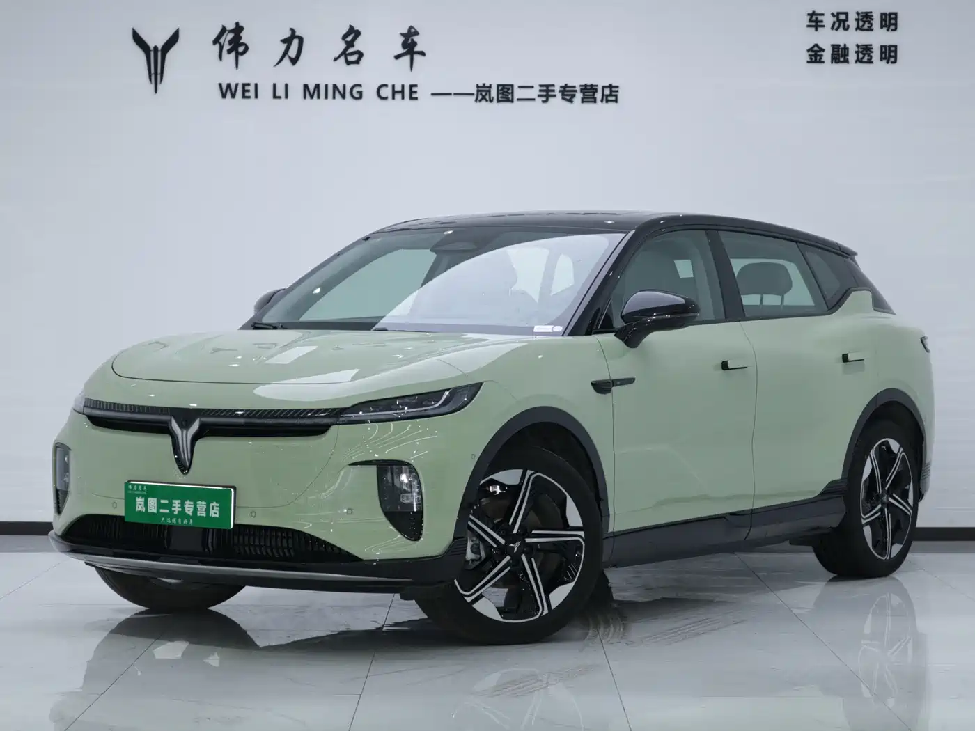  Voyah Auto Voyah Zhiyin 2024 Long Range Smart Edition