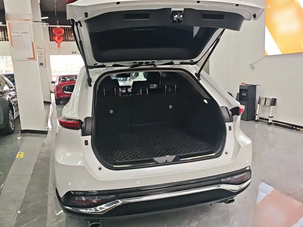 Toyota Venza 2023 2.0L CVT FWD Luxury фото 19