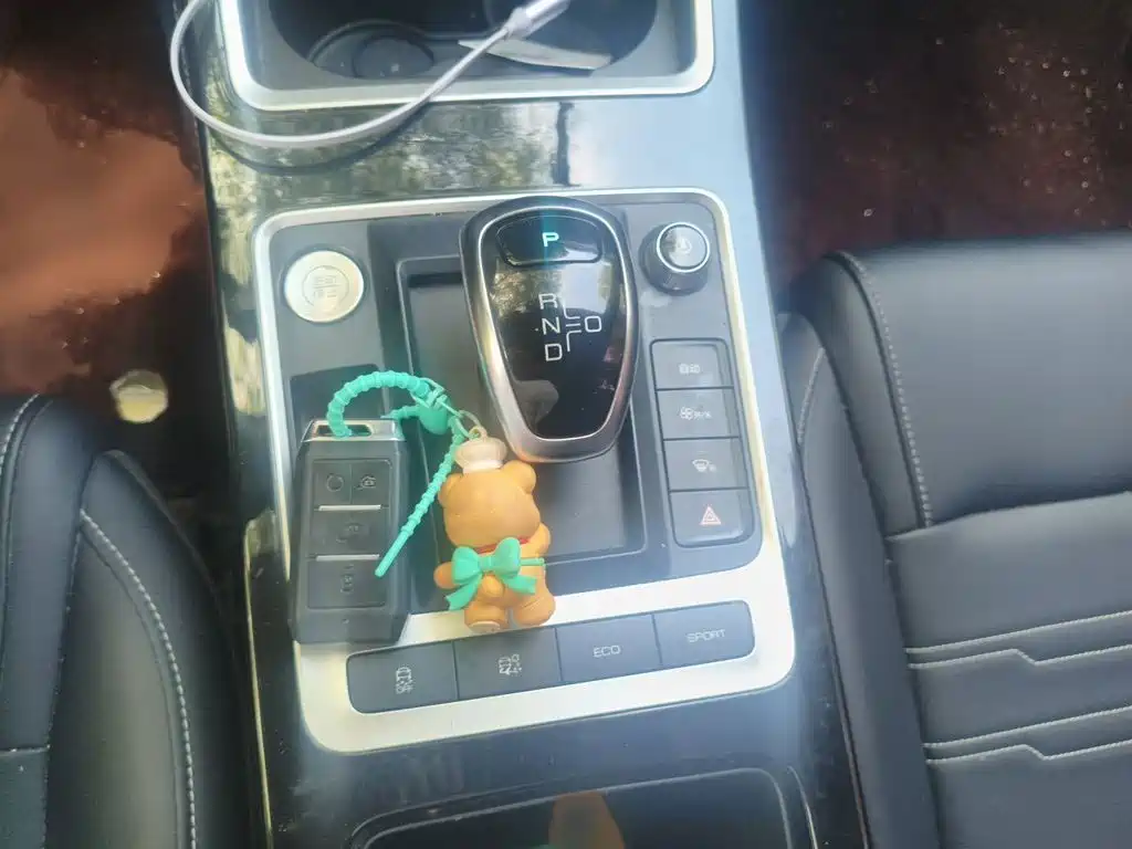 BYD Qin New Energy 2020 2019 Long Range Edition Premium