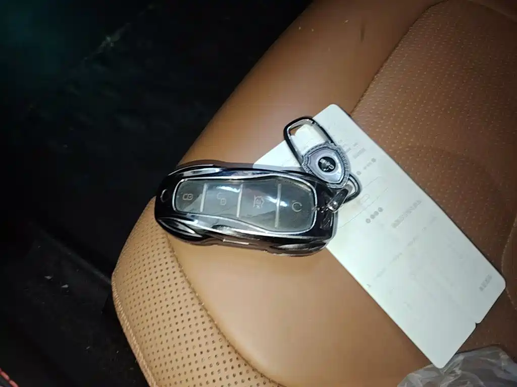 BYD Han 2022 DM-i 121KM Premium Edition фото 9