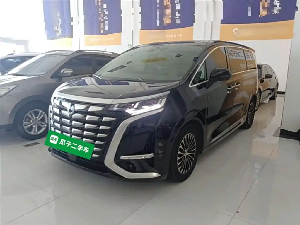 Denza D9 2022 DM-i 970 All-Wheel Drive Honor Edition фото 2