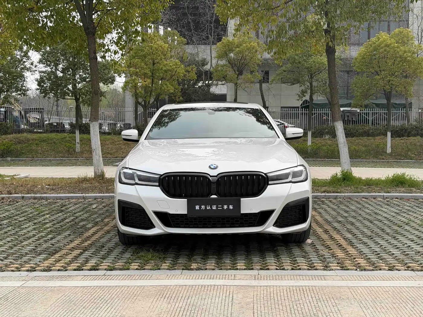 BMW 5 Series 2021 530Li Leading M Sport Package фото 2