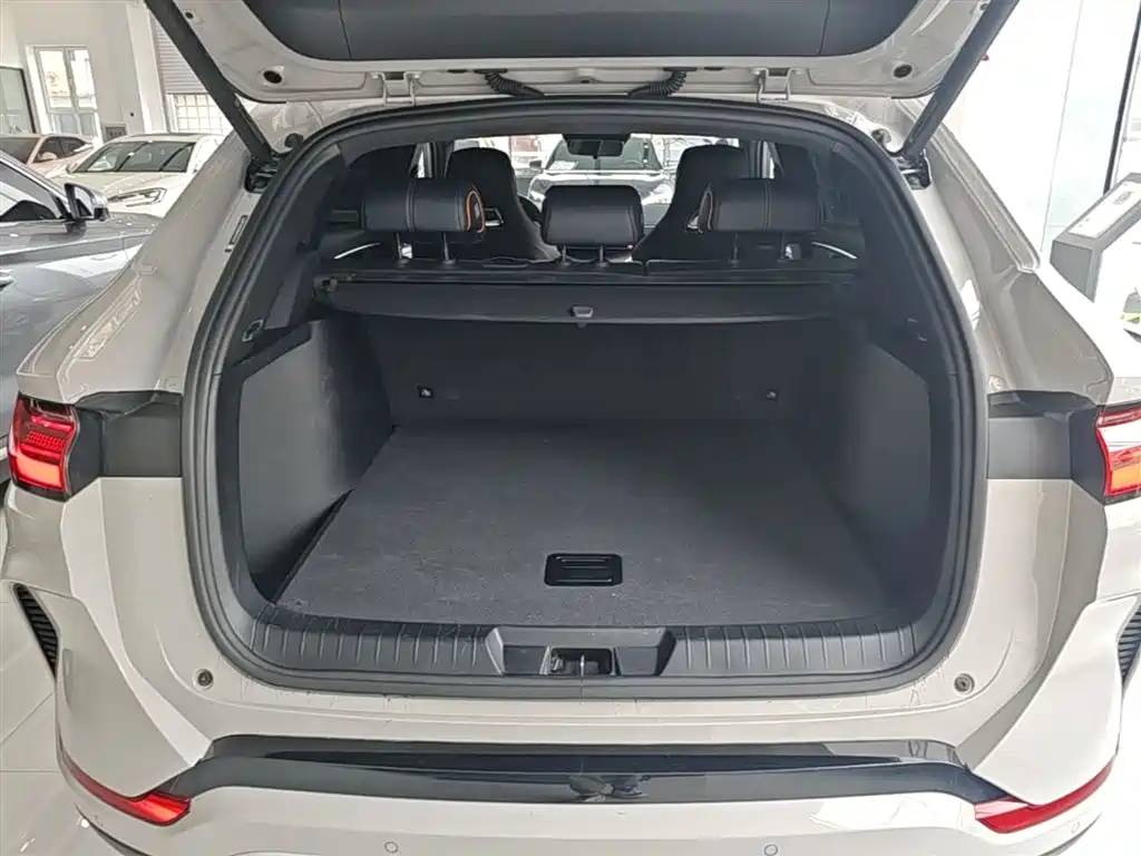 BYD Song PLUS PHEV 2024 Glory Edition DM-i 110km Flagship PLUS фото 19