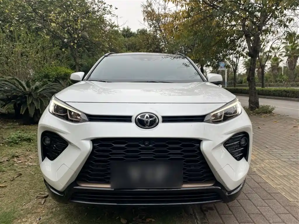 Toyota Wildlander 2024 2.0L CVT 2WD Luxury PLUS Edition фото 25