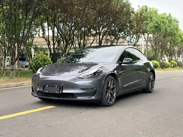 Tesla Model 3 Performance, высокопроизводительный полный привод