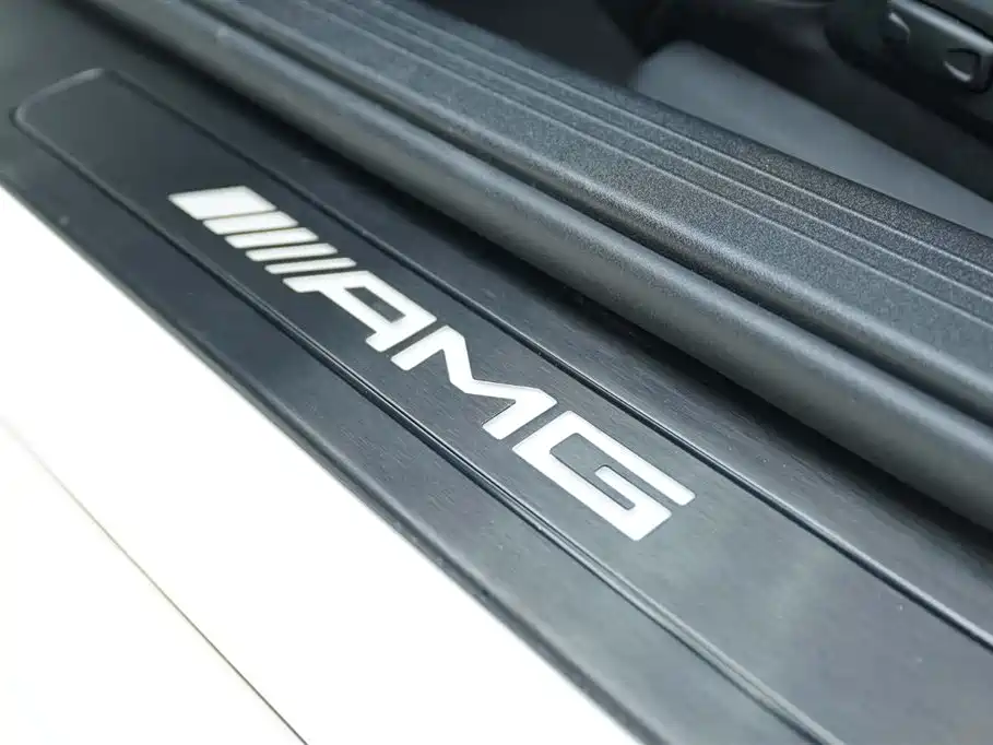 Mercedes-Benz AMG GT 2019 AMG GT R PRO фото 21