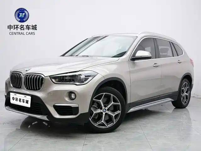 BMW X1 2019 xDrive20Li Luxury Model — фото 1