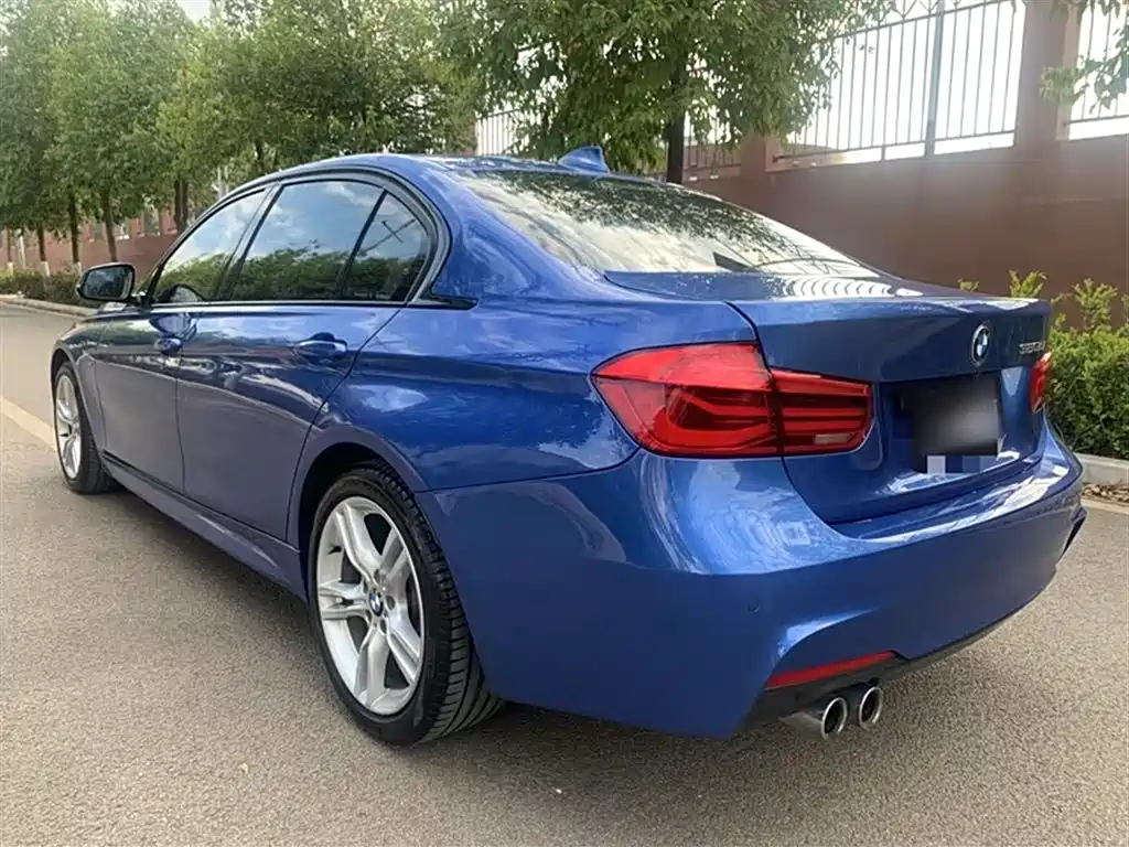 BMW 3 Series 2018 320Li Leading M Sport Package фото 11