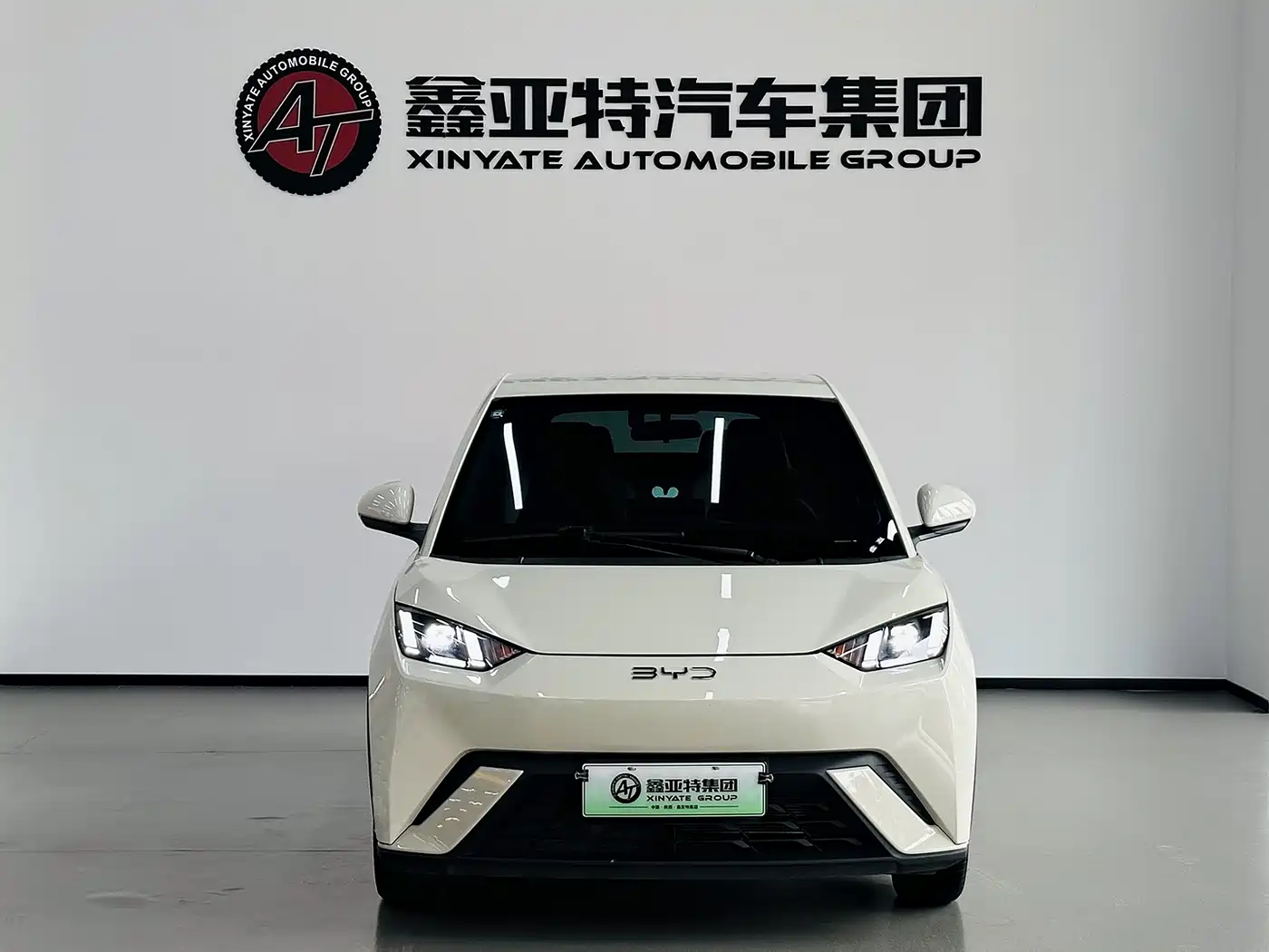 BYD Seagull 2024 Glory Edition 305km Freedom Edition фото 3