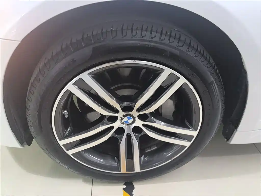 BMW 5 Series 2021 530Li Leading Luxury Package фото 23