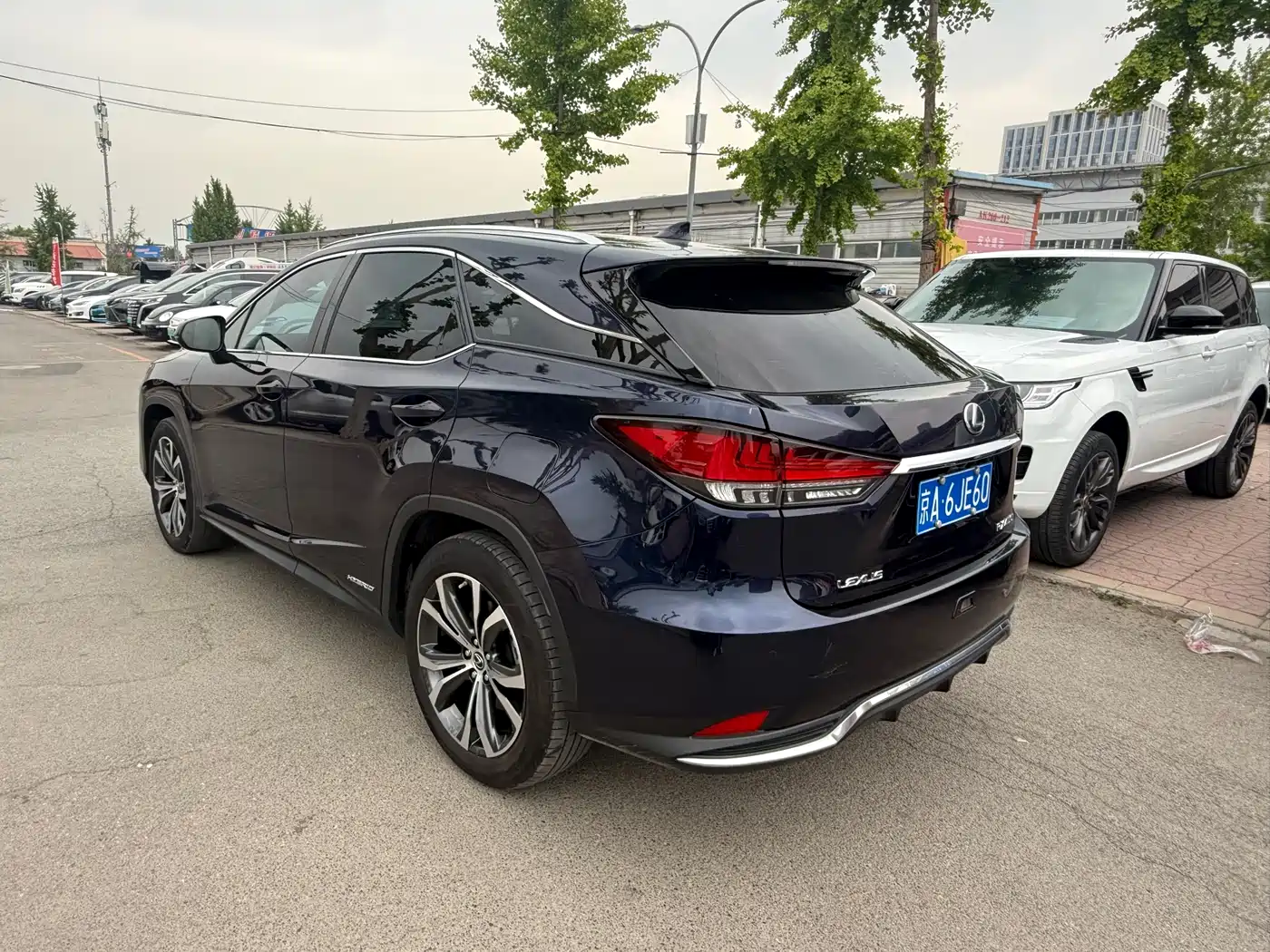 Lexus RX 2020 450h 4WD Elegance Edition China VI фото 13