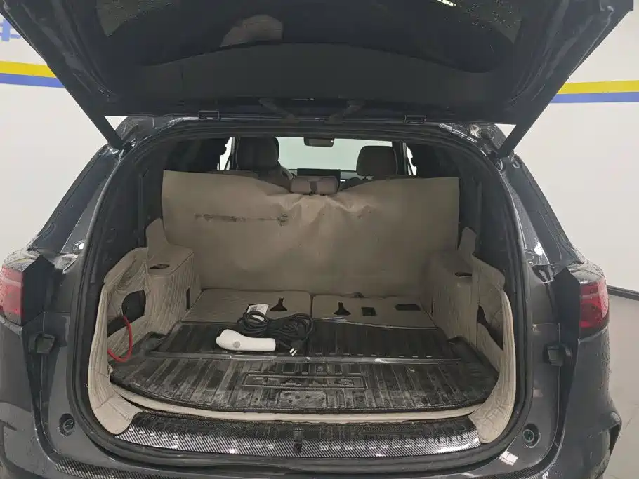 2025 BYD Tang New Energy