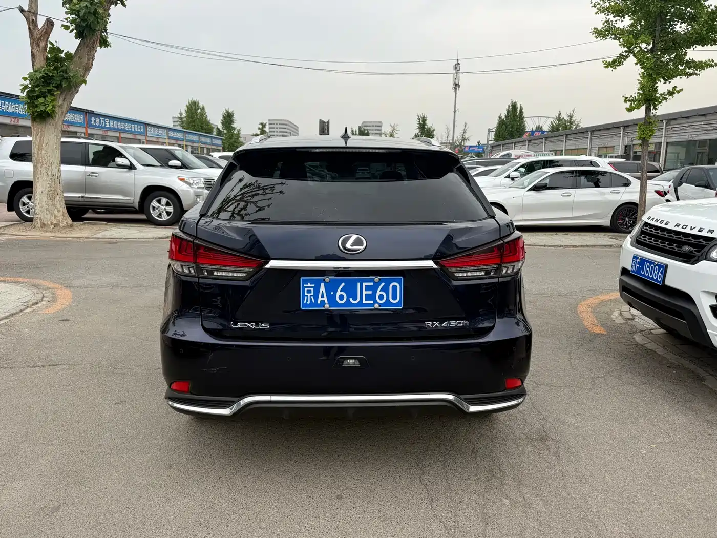 Lexus RX 2020 450h 4WD Elegance Edition China VI фото 14