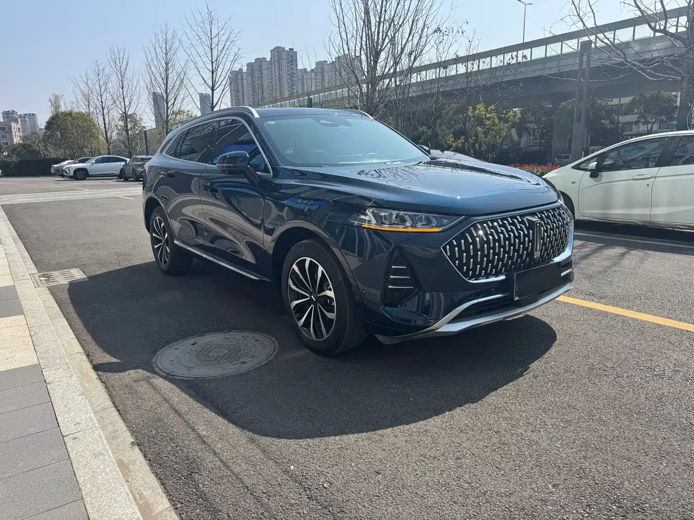 WEI PAI WEI BRAND MOCHA