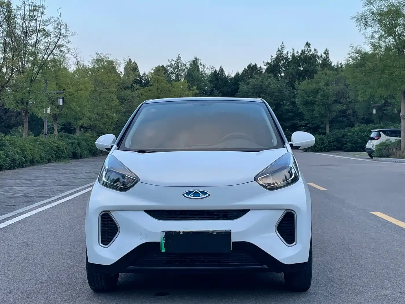 QQ New Energy Little Ant 2021 2021 200K Fans Edition Talent Version (LFP Battery 301km)