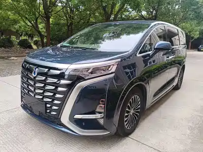 Denza D9