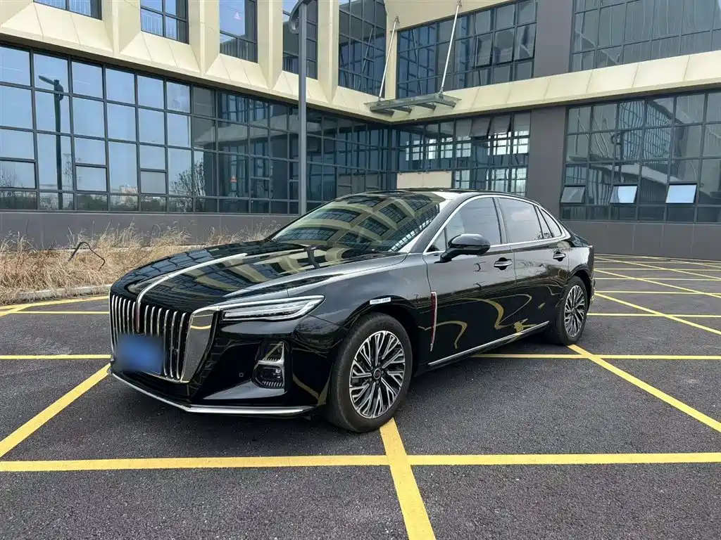 Hongqi H5 2025 2.0T Automatic Flag Celebration 500,000 Units Anniversary Edition фото 22