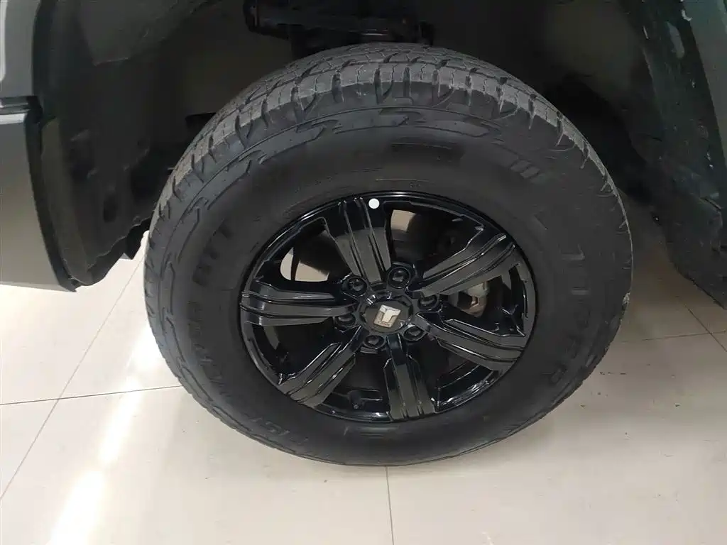 Tank 300 2021 Off-road Version 2.0T Conqueror фото 25