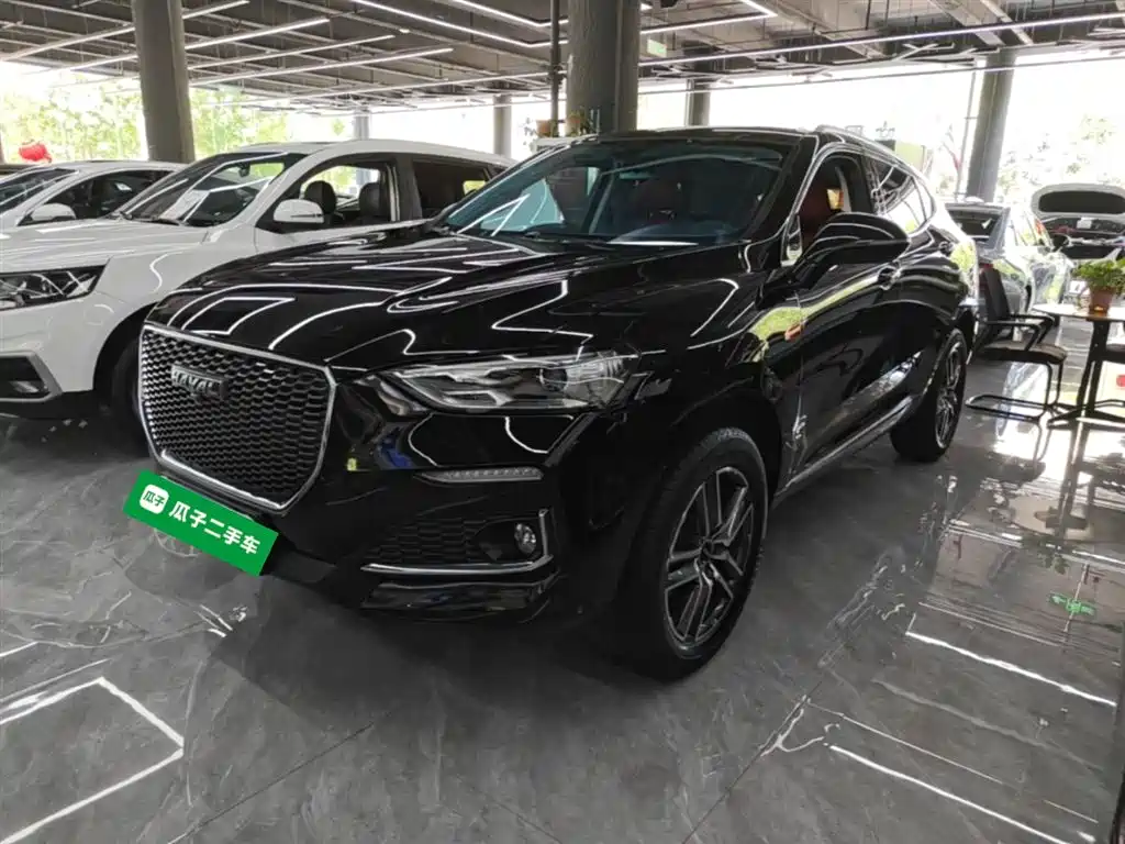 Haval F5 2019 National Trend Edition 1.5T iStyle China VI