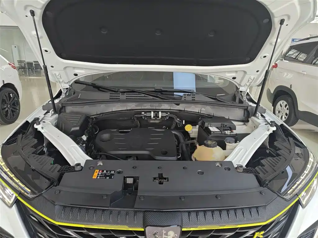 Roewe RX5 2022 2021 PLUS 330TGI Automatic National Trend Premium Edition