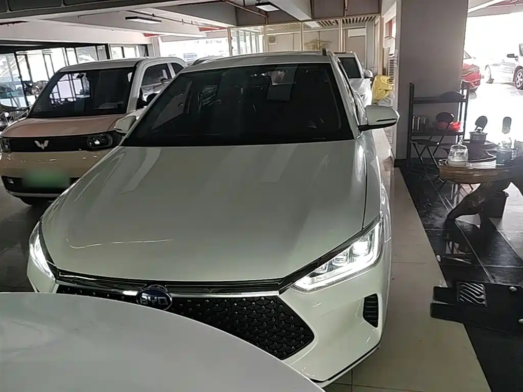 BYD e2 2021 Luxury Edition фото 3