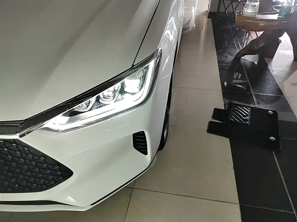 BYD e2 2021 Luxury Edition фото 24