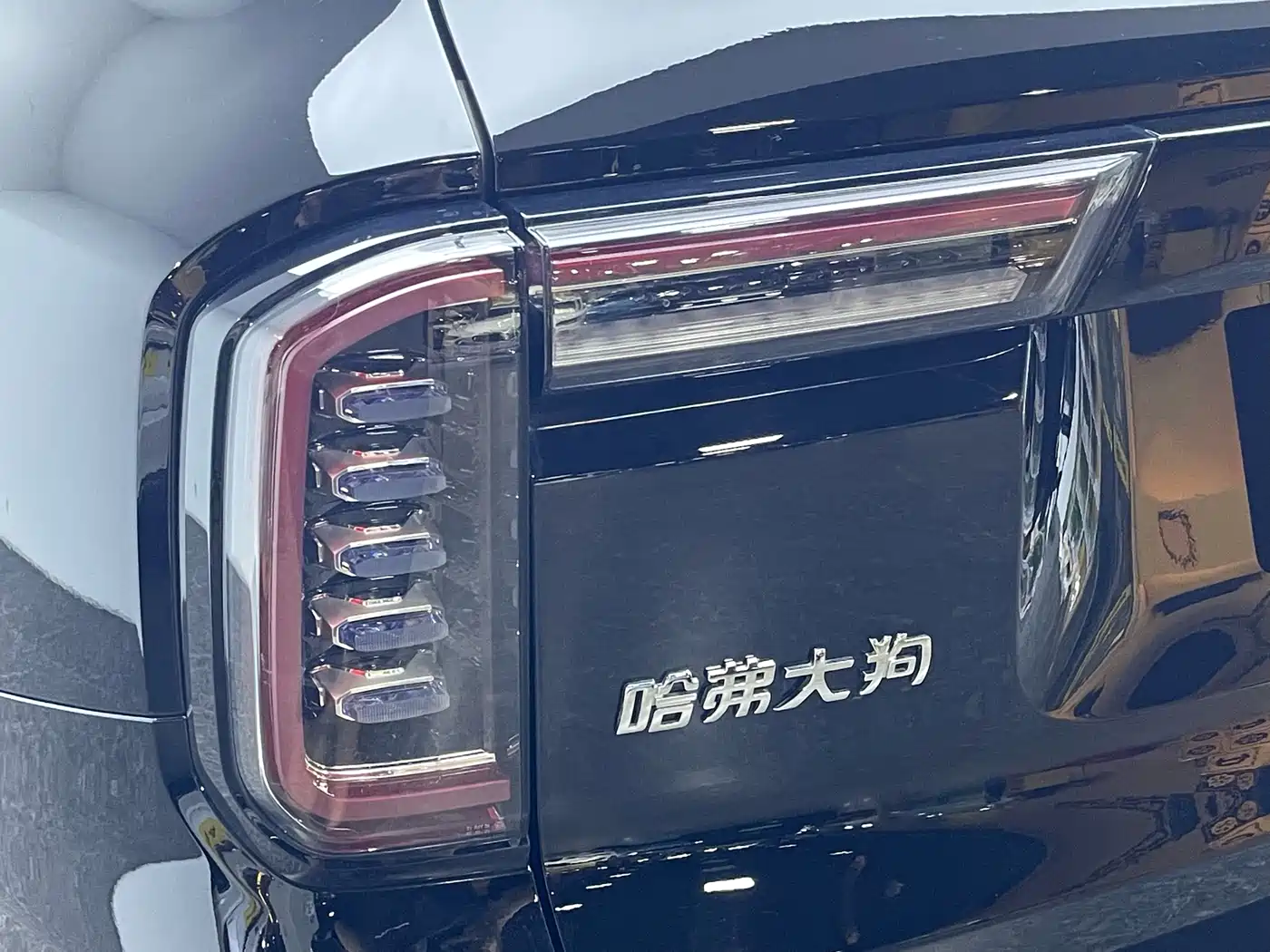 Haval Big Dog 2022 1.5T DCT FWD Border Collie Edition фото 10