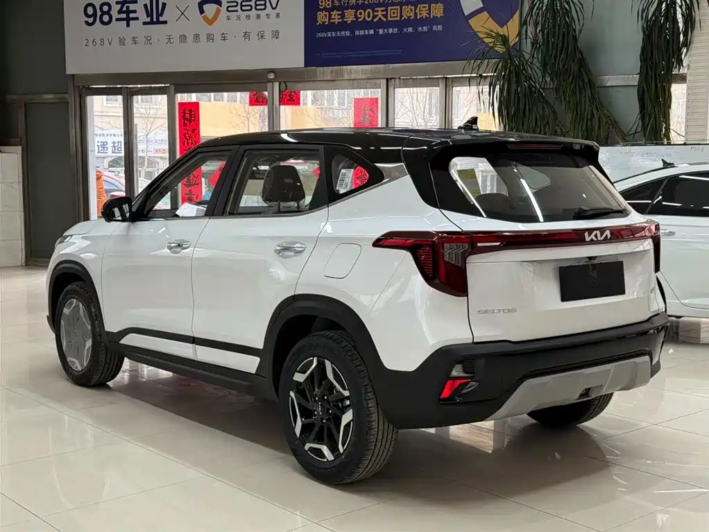 Kia Seltos 2026 Model 1.5L IVT Luxury Comfort Edition фото 6