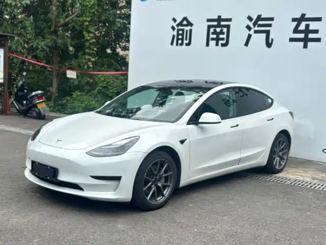 Tesla Model 3 Задний привод