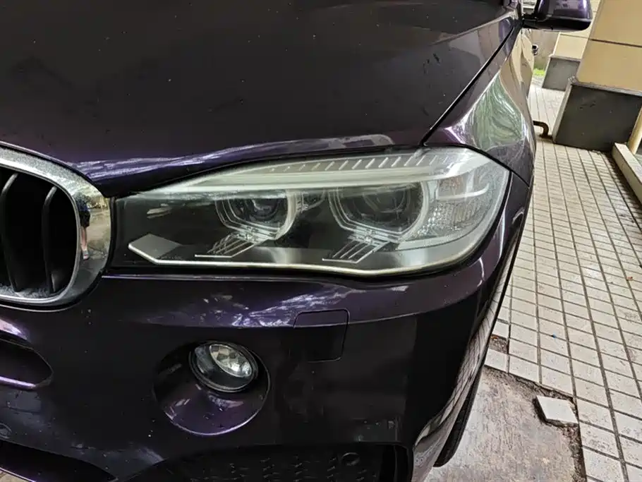 BMW X5 (Import) 2017 xDrive35i M Luxury Sport фото 5