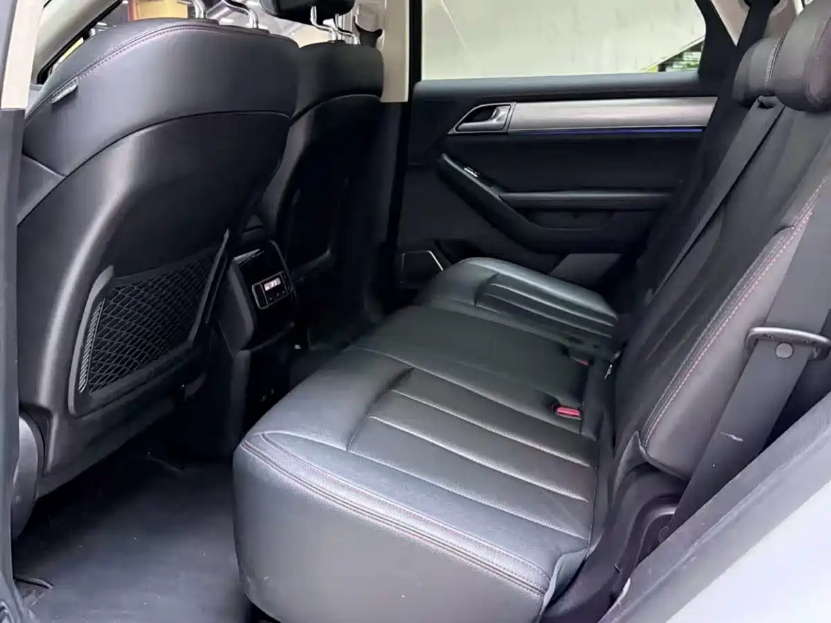 BYD Tang New Energy 2019 EV600D 4WD Smart Connect Genesis Edition фото 5