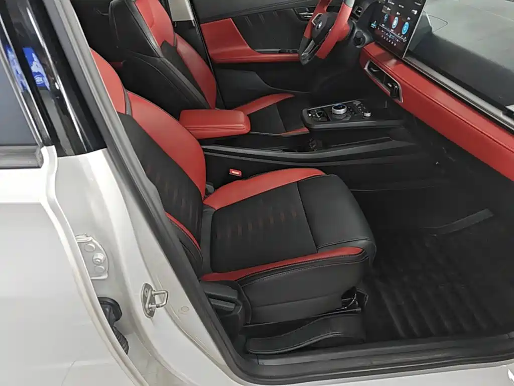 BYD e2 2021 2021 Premium Model