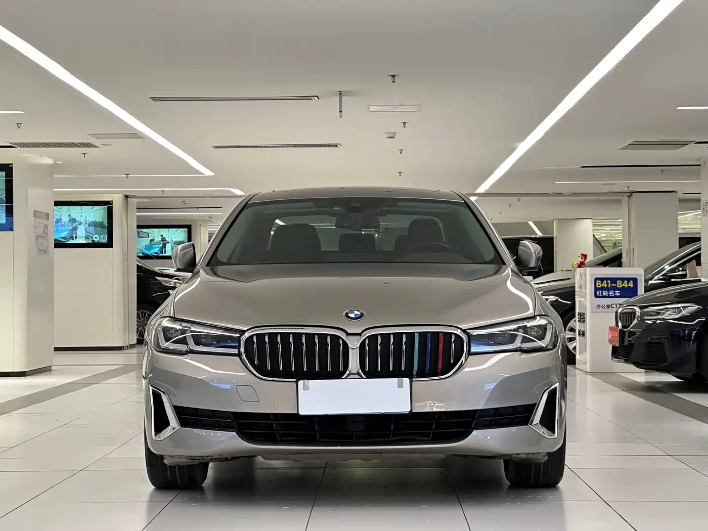 BMW 5 Series 2021 530Li Leading Luxury Package фото 2