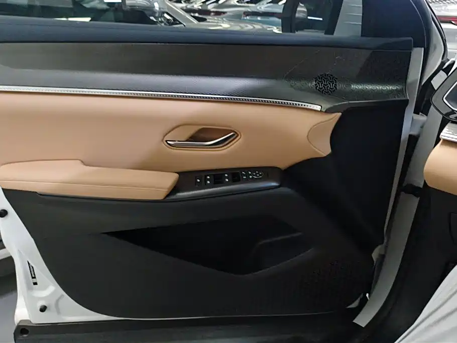 BYD Song Pro New Energy 2025 2nd Gen DM-i 75KM Leading Type фото 7