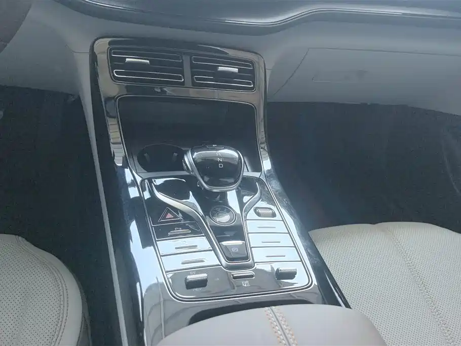 BYD Qin PLUS 2024 Glory Edition DM-i 55KM Leading фото 16