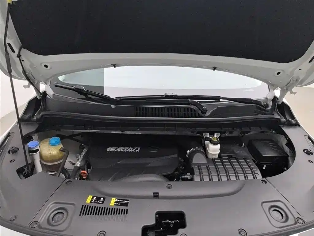 GAC Trumpchi Trumpchi M8 2021 Leading Show Series 390T Ultimate Edition фото 6