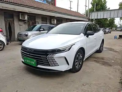 BYD Destroyer 05