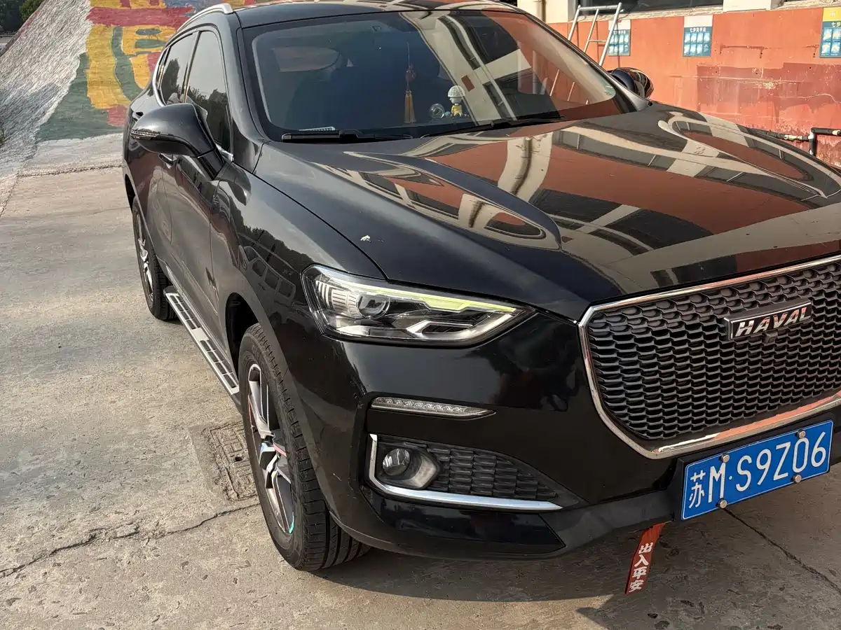 Haval F5 2019 National Trend Edition 1.5T iStyle China VI фото 3